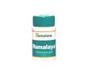 Rumalaya Rumalaya